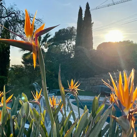 Villa La Villa Olive